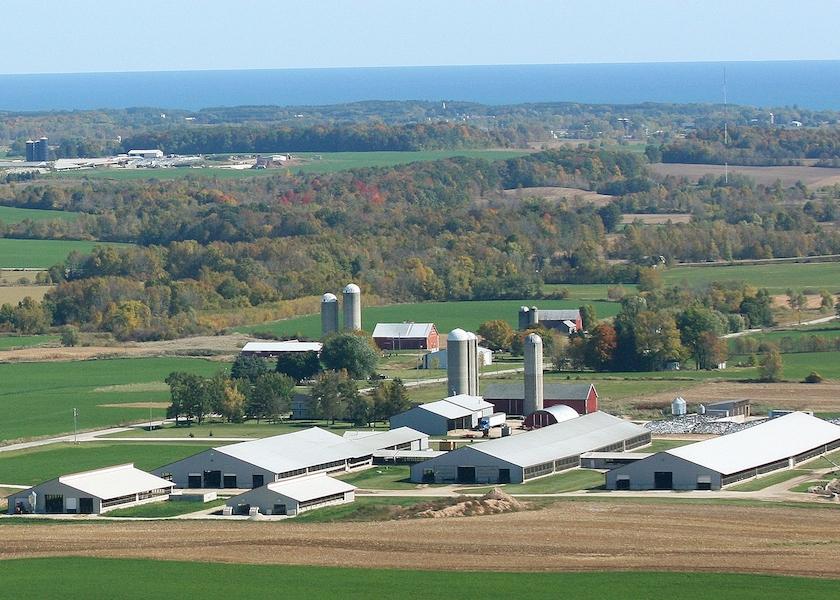 Soaring Eagle Dairy A Succession Success Dairy Herd